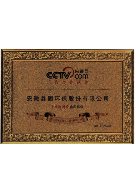 CCTV Partner